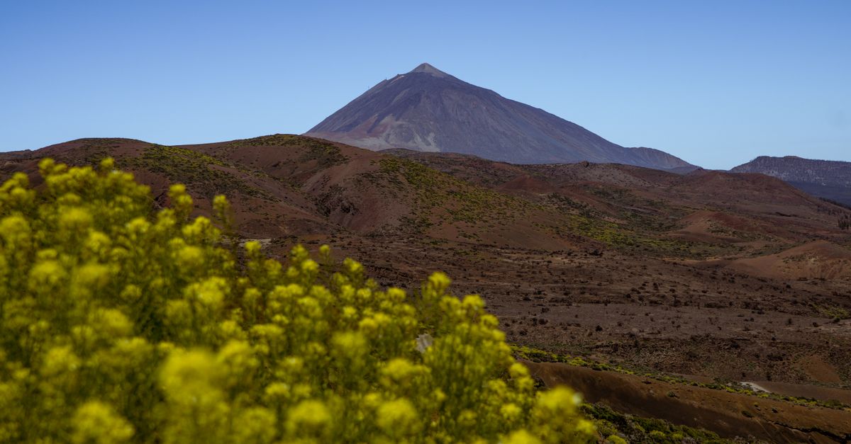 Teide Nationalpark: Tagesausflug ab Hafen Santa Cruz
